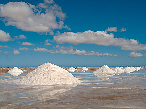 盐,盐沼,国家公园,靠近,海岸,大西洋,海洋,东方,西南方,摩洛哥