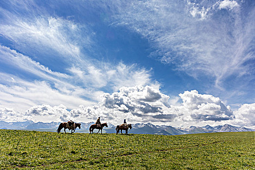新疆喀拉峻草原,高山草原,高山牧场