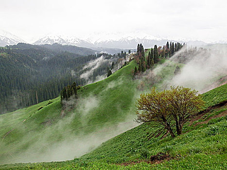 云雾天山