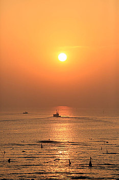 山东省日照市,渔民迎着朝阳驾船出海,成了一道靓丽风景线