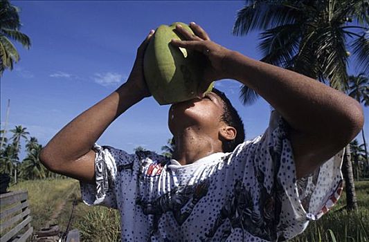 喝,椰汁,椰子,种植园,靠近,洪都拉斯