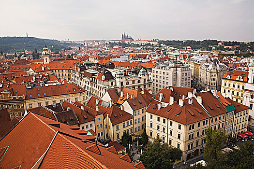 建筑,赤陶,屋顶,老城广场,布拉格,捷克共和国
