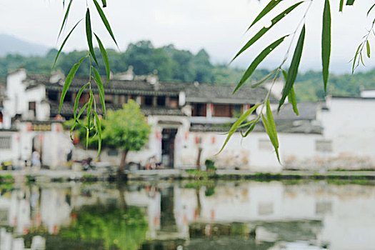 梦里水乡