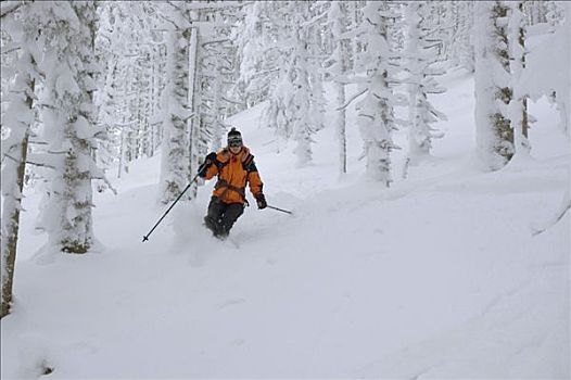 高山滑雪,大雪,国家公园,施蒂里亚,奥地利,欧洲