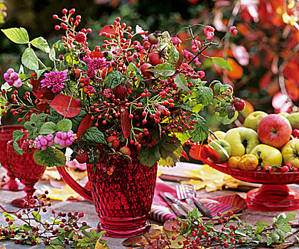 安放,野玫瑰果,树莓,纺锤,浆果