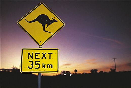 袋鼠,路标,弹孔,日落,中心,澳大利亚,交通标志