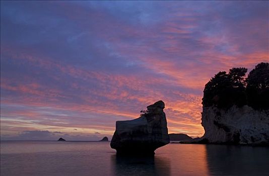 彩色,日出,后面,海蚀柱,腿,小湾,新西兰