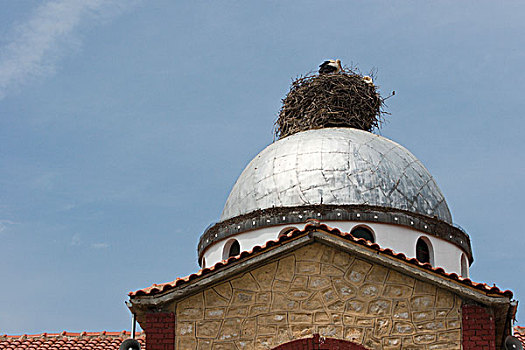 希腊,鹳,鸟窝,教堂,圆顶