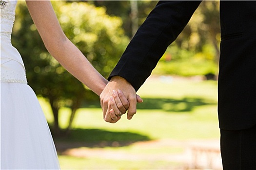 腰部,新婚夫妇,握手,公园