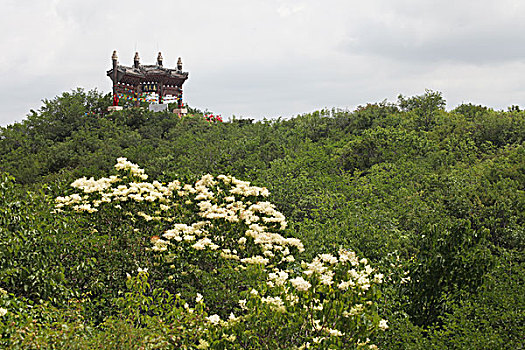 朝阳,凤凰山,旅游,景点,建筑,宗教,佛教,庙宇,塔,历史,名胜古迹,牌坊