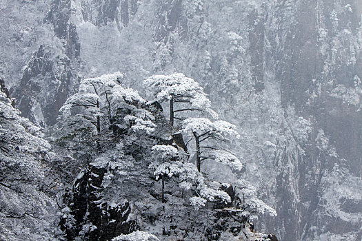 大美黄山