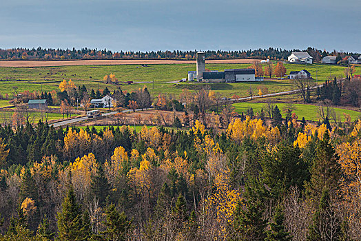加拿大,魁北克,区域,农场,秋天