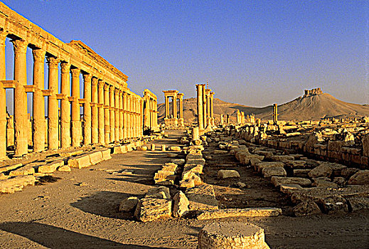 叙利亚,庙宇,遗址,日落