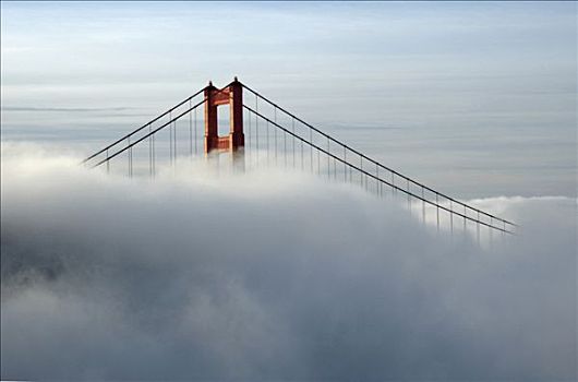 桥,遮盖,雾,金门大桥,旧金山,加利福尼亚,美国