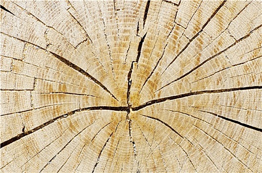 木头,背景