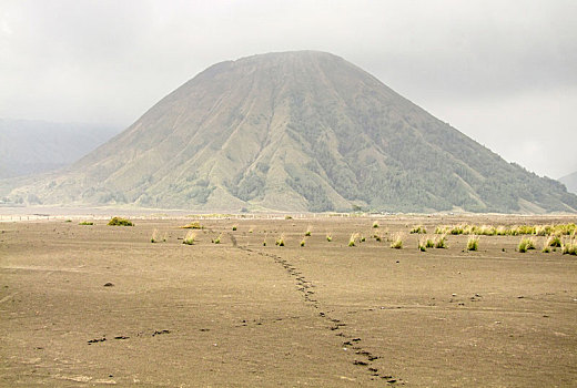 婆罗摩火山,爪哇