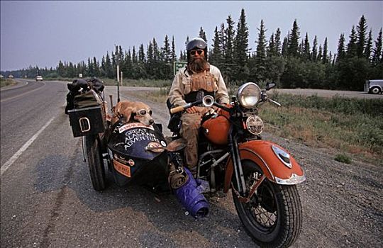 男人,狗,摩托车,旅行者,阿拉斯加公路,北美