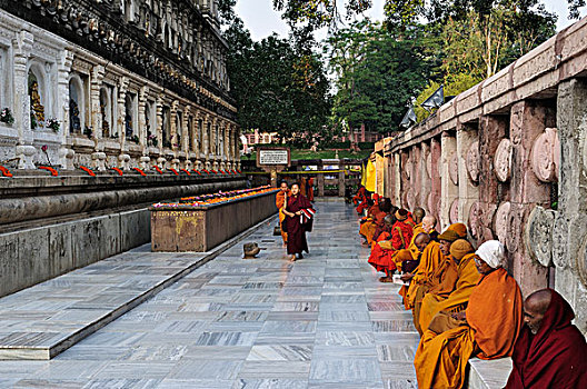 僧侣,地区,比哈尔邦,印度