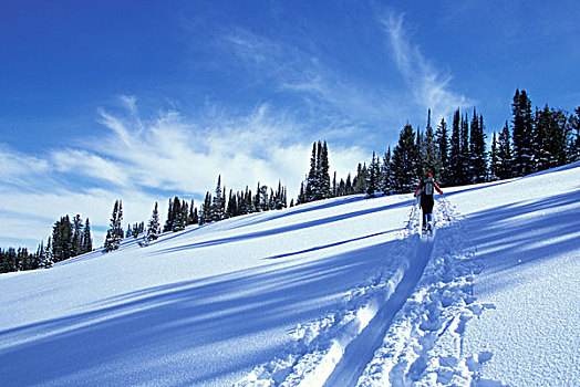 美国,犹他,山脉,边远地区,滑雪