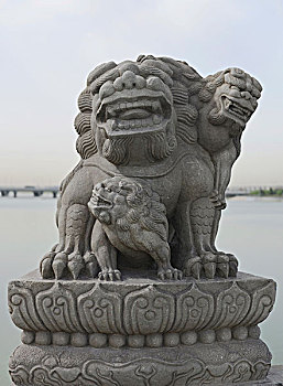 卢沟桥栏柱上的石狮