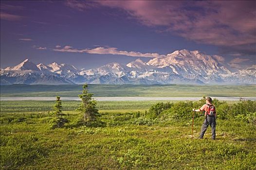 男性,游客,山,麦金利山,阿拉斯加山脉,靠近,旺湖,德纳里峰国家公园,阿拉斯加,夏天