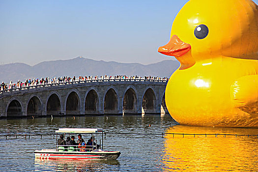 北京颐和园大黄鸭