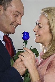 男人,女人,蓝色,玫瑰