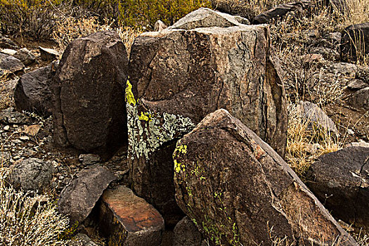 石头,苔藓,三个,河,岩刻,小路,新墨西哥,美国