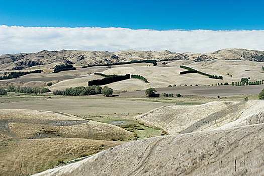 南,马尔伯勒,风景,靠近