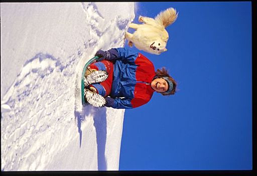 女人,雪橇运动,狗,北极,山谷,冬天,阿拉斯加