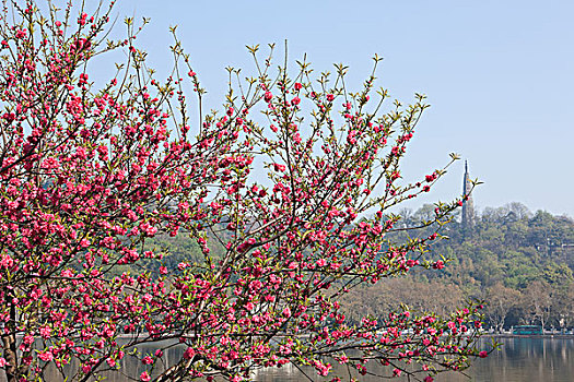 杭州,西湖