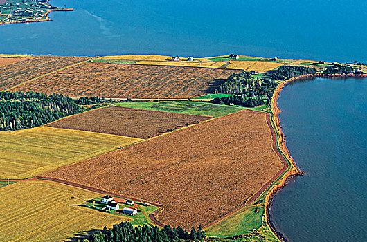 俯视,土豆,农场,爱德华王子岛,加拿大