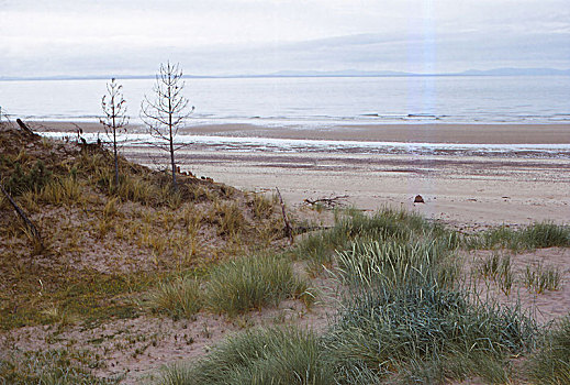 沙,海鳗,峡湾,苏格兰,20世纪,艺术家