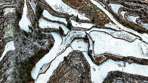 重庆酉阳,立春瑞雪兆丰年