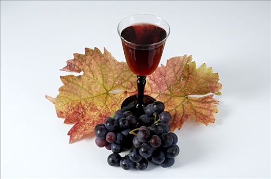 红酒杯,黑葡萄,品种,叶子