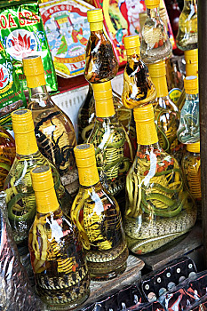 瓶子,蛇,酒,市场,惠安,越南