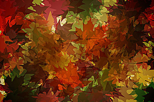 秋天,叶状,暖色调