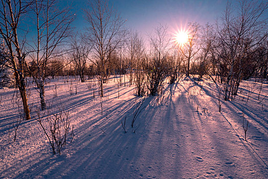 吉林冬天雪地自然景观