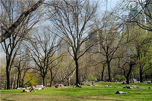 中央公园,纽约