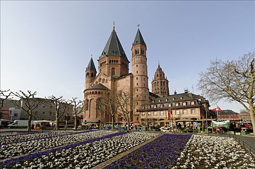 大教堂,花坛,美因茨,莱茵兰普法尔茨州,德国,欧洲