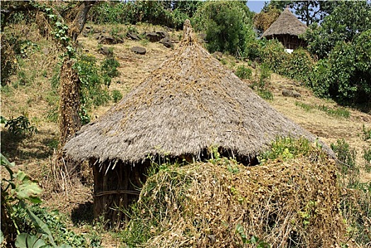 非洲,村庄,埃塞俄比亚