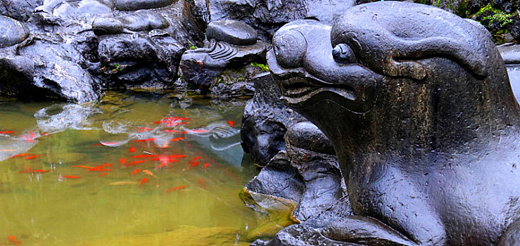 广西全州湘山寺放生池,祥禽瑞兽伴游鱼