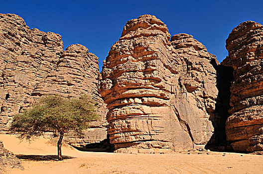 砂岩,岩石构造,阿杰尔高原,国家公园,世界遗产,阿尔及利亚,撒哈拉沙漠,北非