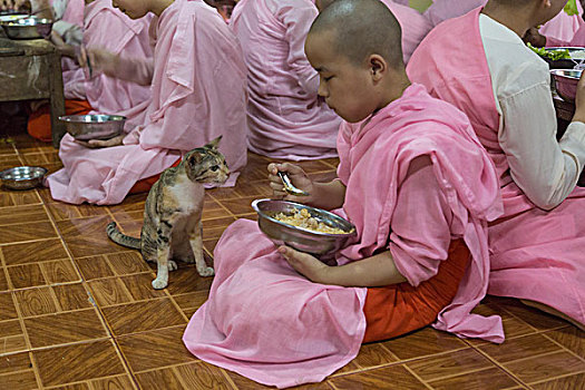 缅甸,仰光,饥饿,食物,女修道院