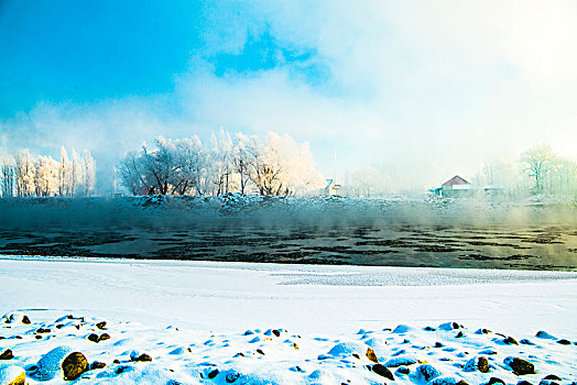 冬日,雪景,雪地,蓝天,雾松