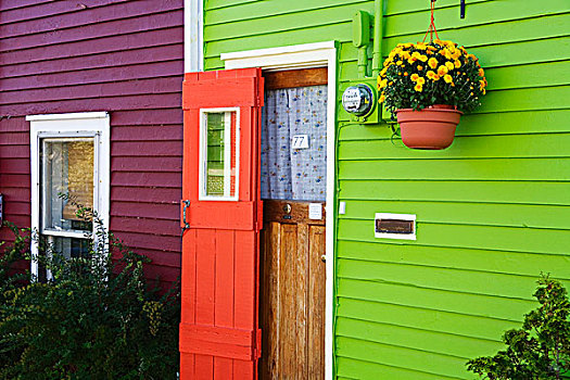 挂篮,墙壁,房子,纽芬兰,拉布拉多犬,加拿大