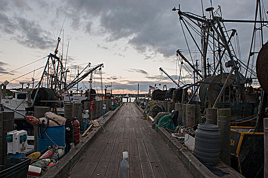 渔船,码头