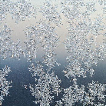 霜,图案,窗玻璃,冬天,黎明