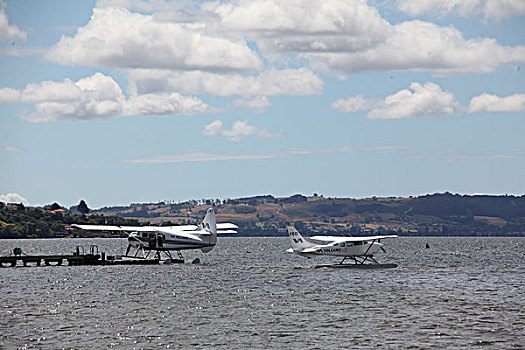 罗托鲁瓦湖中的黑天鹅和乘坐直升飞机观看火山口的游客