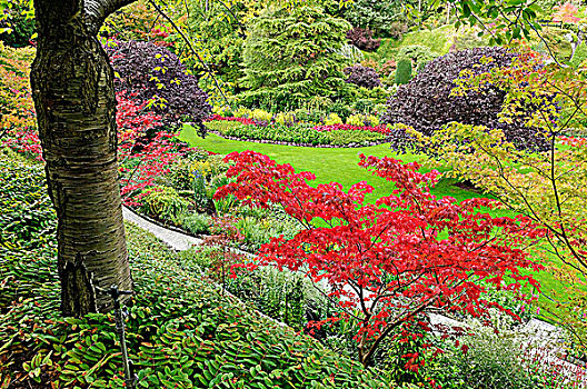 花园,宝翠花园,不列颠哥伦比亚省,加拿大